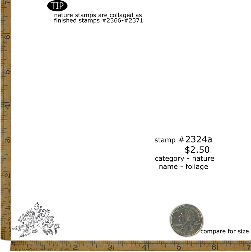 #2324a - Foliage - Nature